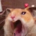 emoji_64 Emote