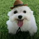 emoji_9 Emote