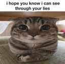 iseeyou Emote