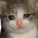 tmr_sad_cat Emote