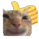 V_Agreed Emote