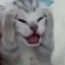 emoji_55 Emote