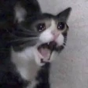 AHHHHHHHHHH Emote