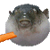memesgiffish53 Emote