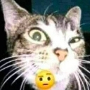 c_wiwiwi Emote