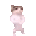 489897catfistbump Emote
